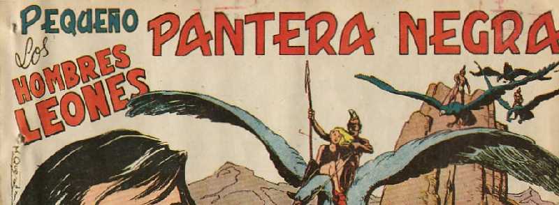 PEQUEÑO PANTERA NEGRA 127